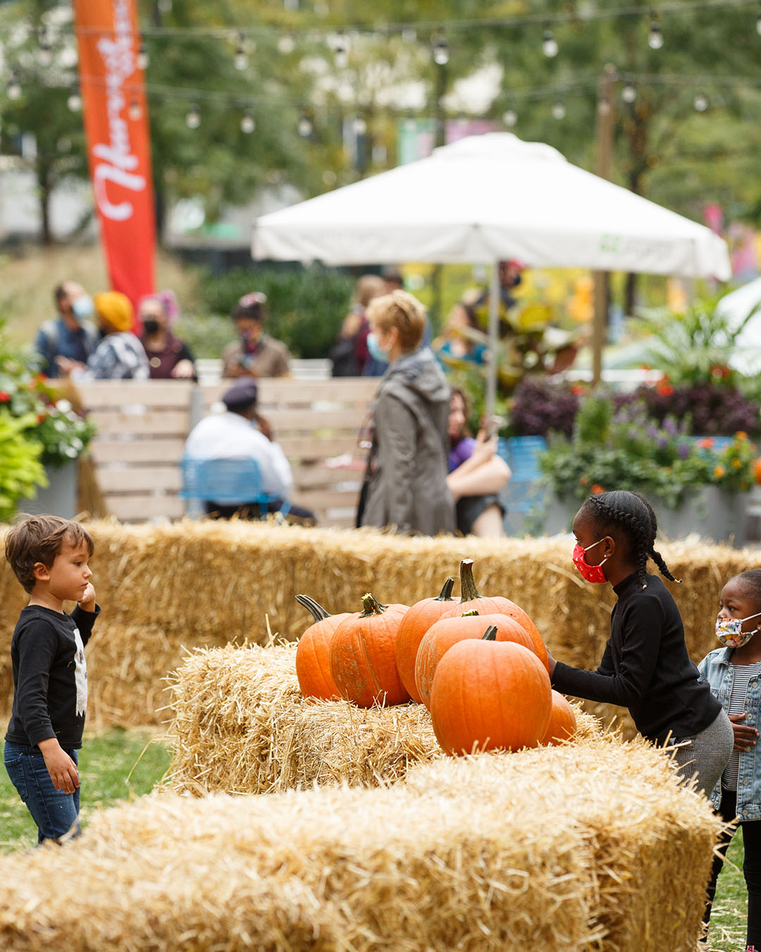 dilworth hay maze