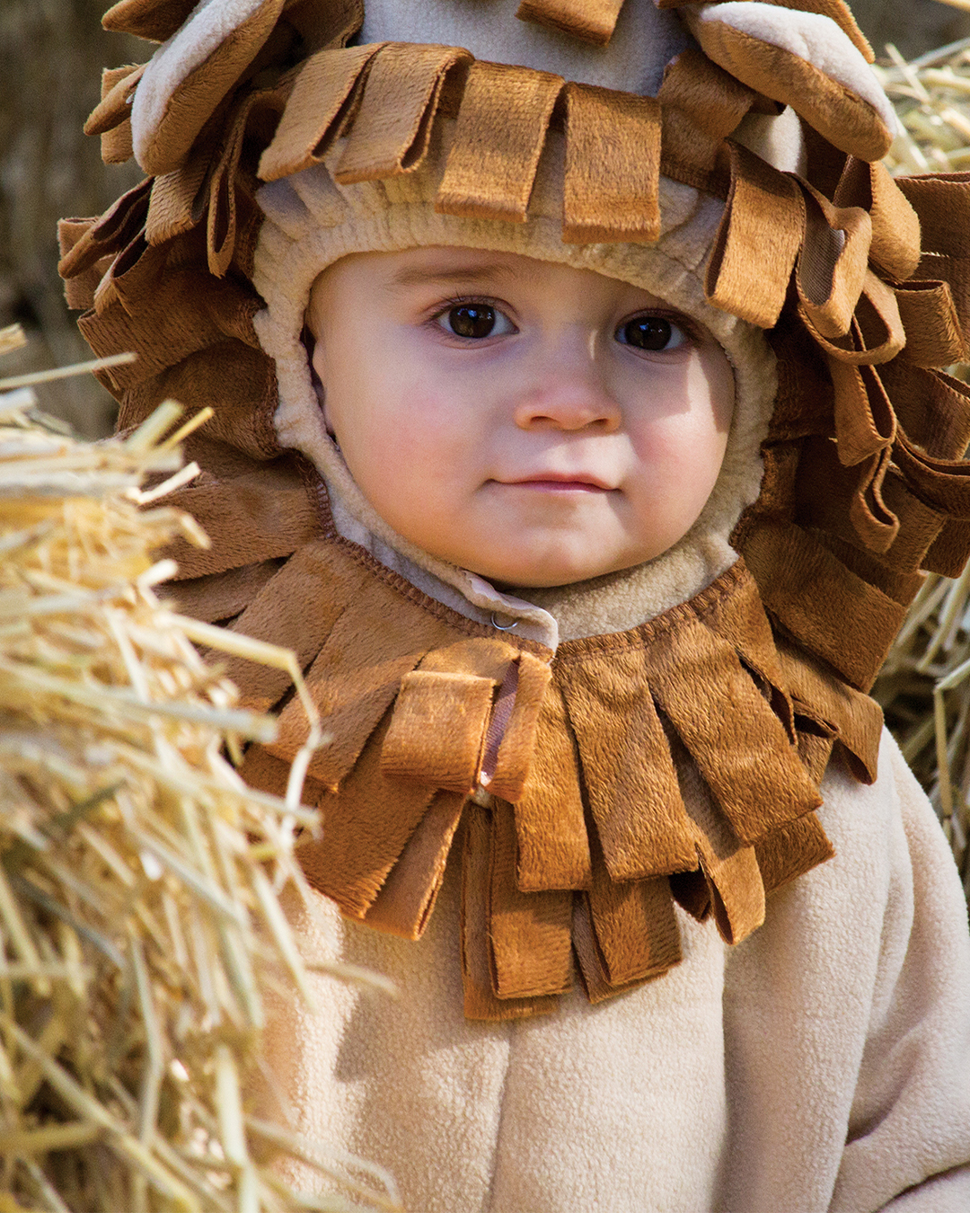 boo at the zoo