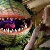 little shop of horrors