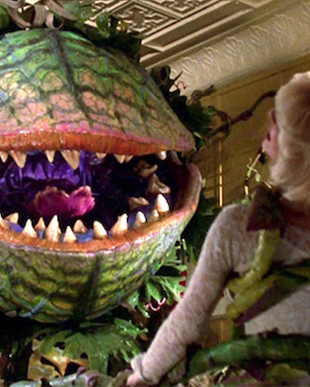 little shop of horrors