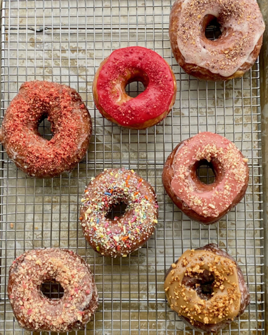 curiosity doughnuts