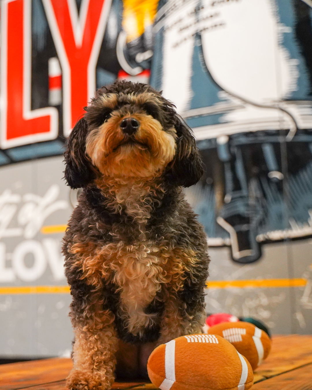 craft hall bark bowl