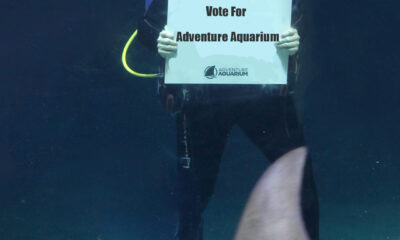 adventure aquarium