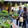 phs plant swap