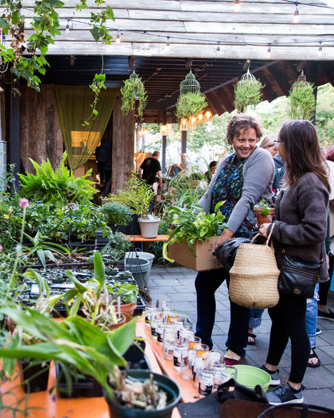 phs plant swap