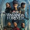 black panther wakanda forever