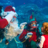 underwater christmas