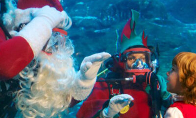 underwater christmas