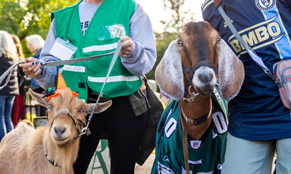 The 3rd Annual GOAToberFest Will Feature Goat Beer, Cocktails ...