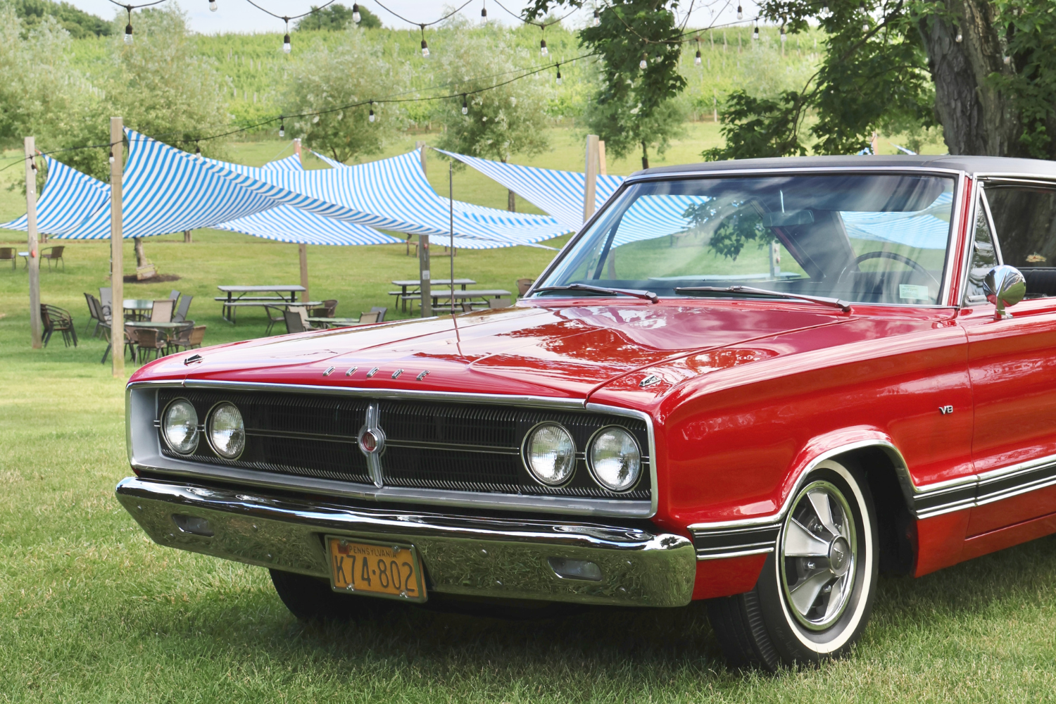 Wheels & Wine Car Show