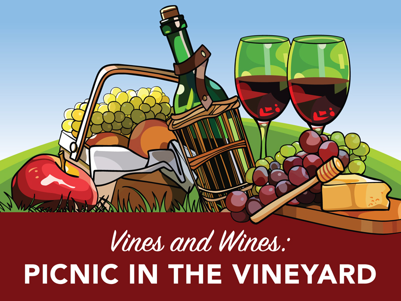 Vines & Wines – Picnic in the Vineyard
