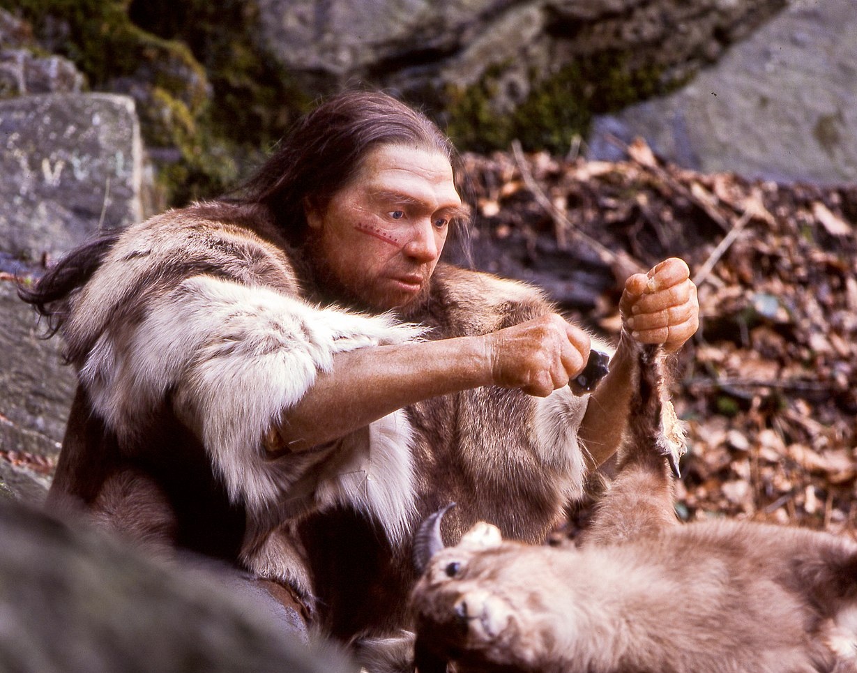 Profs & Pints Philadelphia: The Neanderthals Among Us