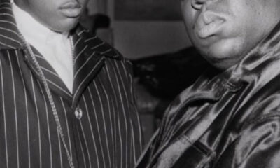 frank white experience