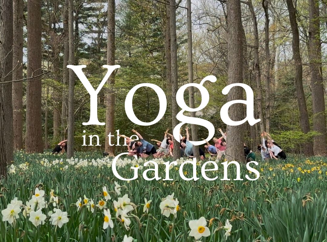 Yoga in the Gardens at Andalusia