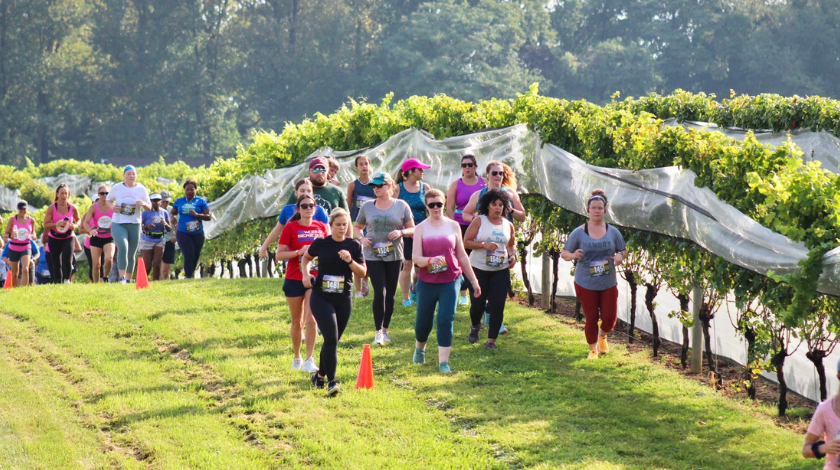 Run the Vineyards