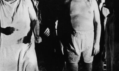 night of the living dead